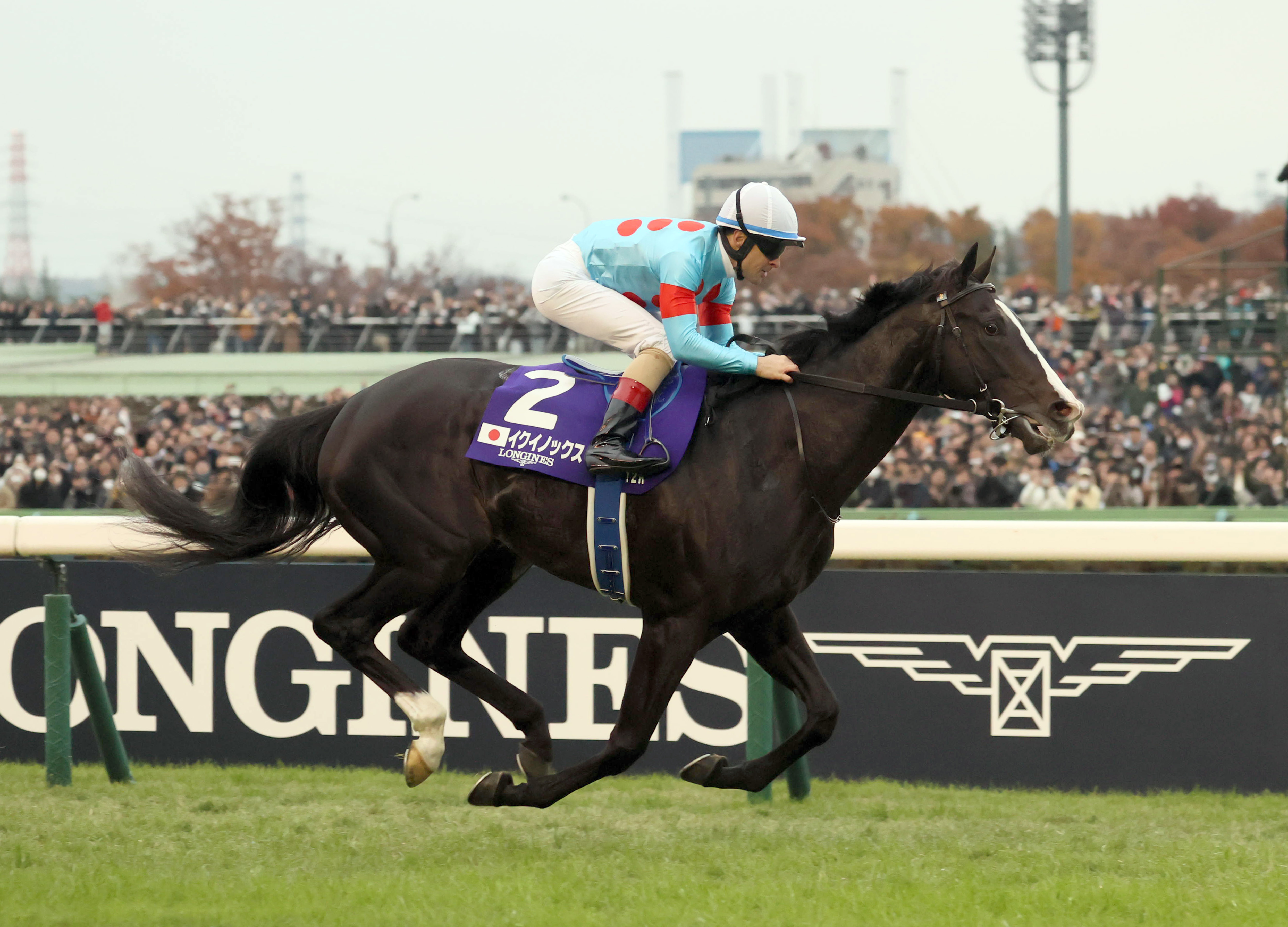 ジャパンカップ ルメール騎手「誰でも乗れます」「ポニーみたい」発言