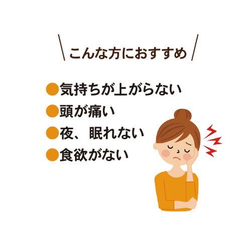 電磁波防止グッズ CMCロッド5｜5G対応 カーボンマイクロコイル 携帯用