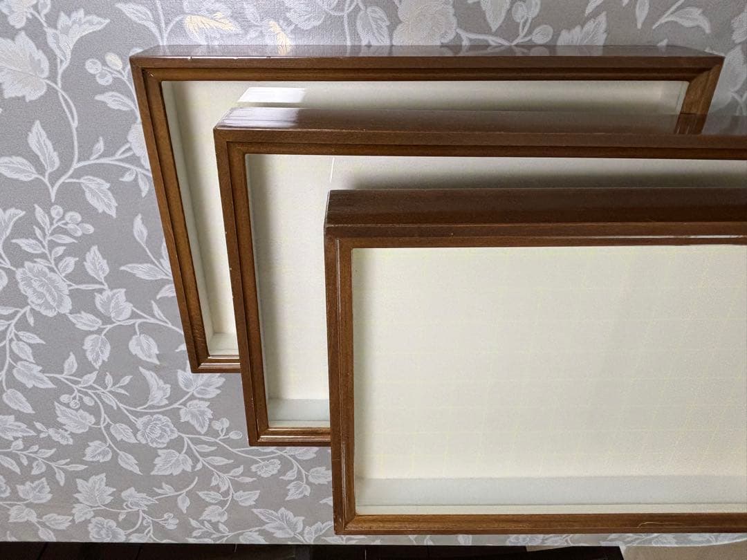 中型ドイツ箱セット ■Ｂ３ 小型ドイツ型標本箱（黒） : インセクテック・ドット・コム - 通販