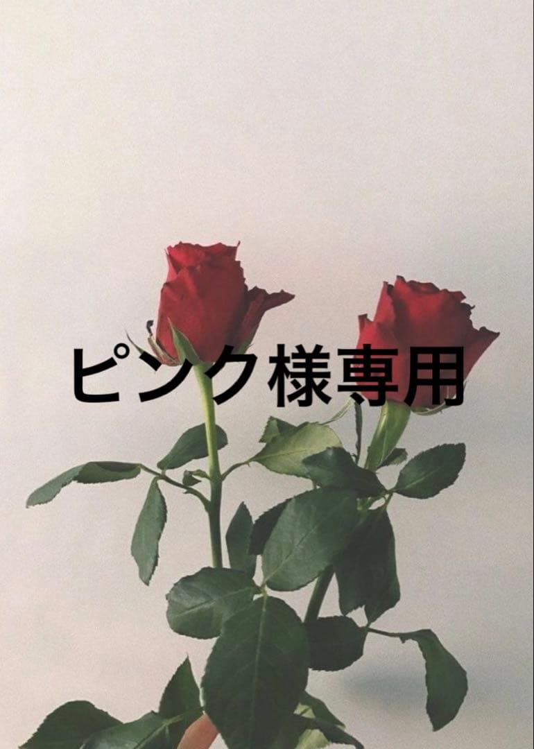 【新品】激レア　Lunatic ブラック トレンチコート　ジッパー eclat 2025年11月号掲載商品］グースシェルトレンチコート｜BIGI